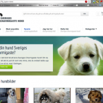 Är det inte katter som gäller på webben?